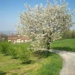 L'atelier Di Pierflavio Gallina *