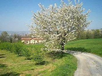 L'atelier Di Pierflavio Gallina *